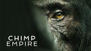 El imperio de los chimpancés
