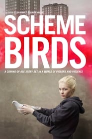 Poster Scheme Birds