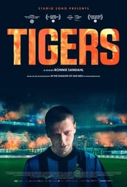 Tigers постер