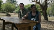 Episode 78