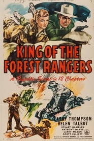 King of the Forest Rangers постер