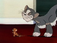 Puss Gets The Boot