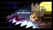 The First Investigation