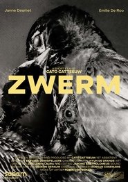 ZWERM (2021) Cliver HD - Legal - ver Online & Descargar