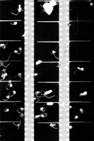 Poster Shot Film 2009 Poster Shot Film 2009