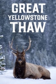 Great Yellowstone Thaw постер