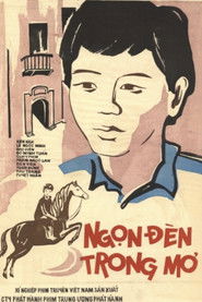 The Light in The Dream