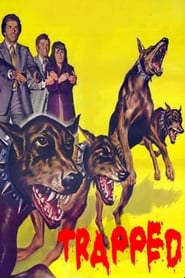 Se En fasansfull natt 1939 Svenskt Tal Stream