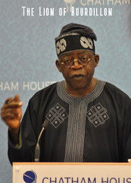 The Lion of Bourdillon