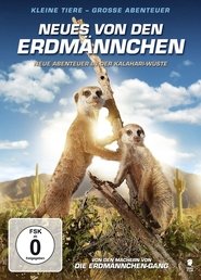 Poster Kalahari Meerkats 2012