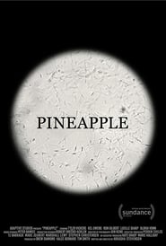 Poster Pineapple 2017