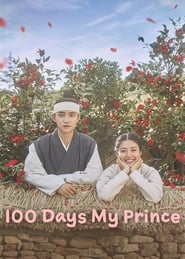 100 днів мій принц постер