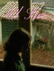 El Sur постер