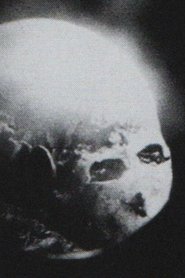 Poster A Burning Star 1995