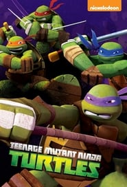 Teenage Mutant Ninja Turtles – Season 2,3