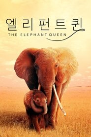 '엘리펀트 퀸' - The Elephant Queen (2019)