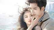 Fall in Love Again
