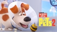 The Secret Life of Pets 2