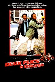 Film Deux flics à Chicago streaming