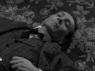 The Perfect Murder