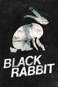 Black Rabbit poster