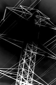 Supply & Demand (2024)