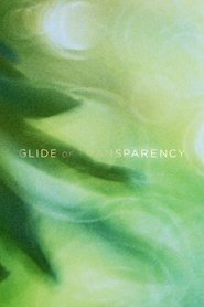 Poster Glide of Transparency 2016