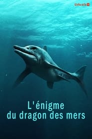 L'Enigme Du Dragon Des Mers