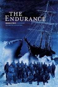 The Endurance постер