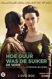 Poster Hoe Duur Was De Suiker - Season 1 2014