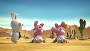 Self-Conscious Rabbid