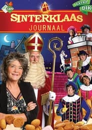 Het Sinterklaasjournaal - Season 14