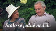 Stalo se jedn&eacute; neděle