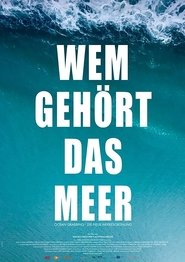 Poster Wem gehört das Meer? Ocean Grabbing - Die neue Meeresordnung 2019