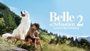 Belle et Sébastien : L'aventure continue