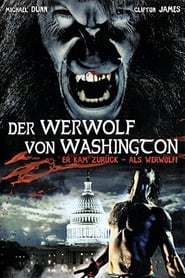 Poster Der Werwolf von Washington