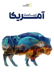 آمریکا زیباست