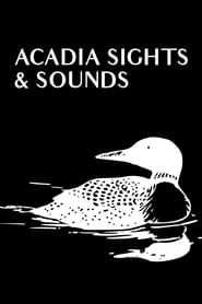 Acadia Sights & Sounds