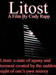 Litost постер