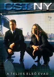 CSI: New York-i helyszínelők 1. évad plakát