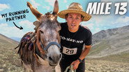 I Tried the Official State Sport of Colorado (Burro Racing)