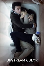 Poster Upstream Color