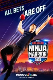 Poster for Season 17