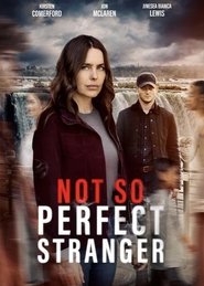 Not So Perfect Stranger (2025)