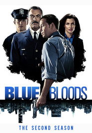 Blue Bloods Season 2 5