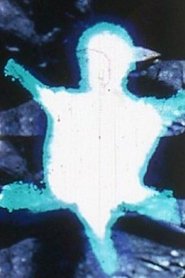 Poster Turtle 1969