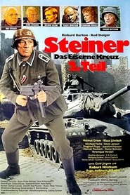 Steiner – Das Eiserne Kreuz Teil II
