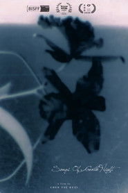 Songs of Gentle Night