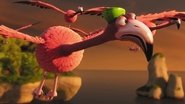 Flight of the Flamingos