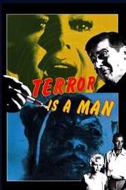 Poster Terror Is a Man